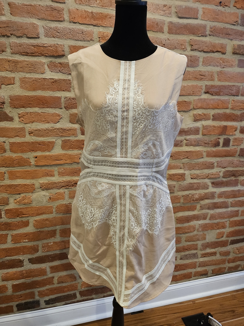Endless Rose Blush Pink Lace Appliqué Sleeveless Dress